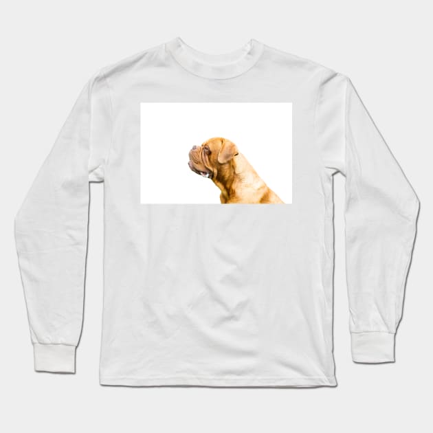 The Dogue de Bordeaux Or Bordeaux mastiff Long Sleeve T-Shirt by tommysphotos